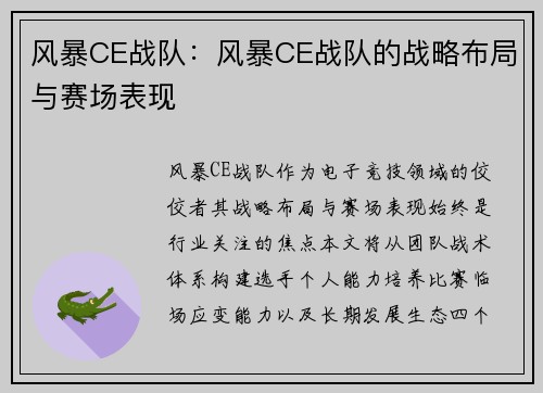 风暴CE战队：风暴CE战队的战略布局与赛场表现